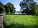 gruene Ufer